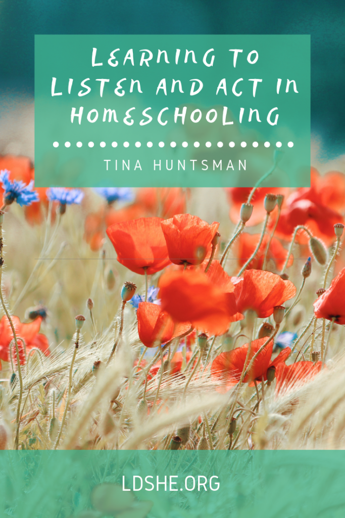 ldshe article, learning to listen and act, homeschool advice, homeschool article, mentor mom, how to receive personal revelation